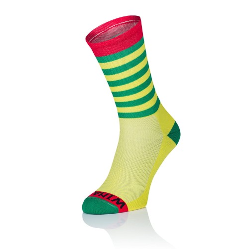 YGLstripes.jpg