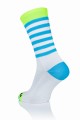 WBFstripes2.jpg