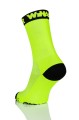 FLUO2.jpg
