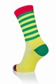 YGLstripes2.jpg